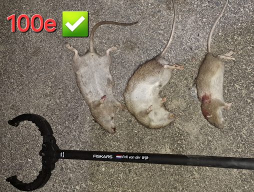 Je kan ze maar kwijt zijn...